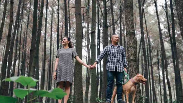 Di Hutan