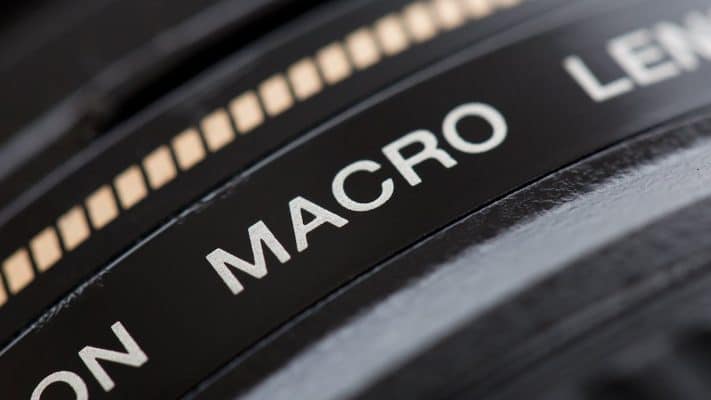 Memilih Lensa Makro
