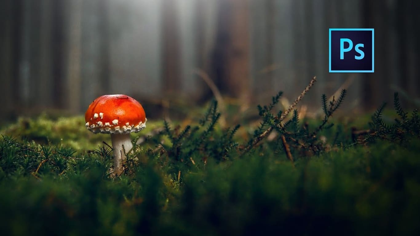 Editing Foto Makro