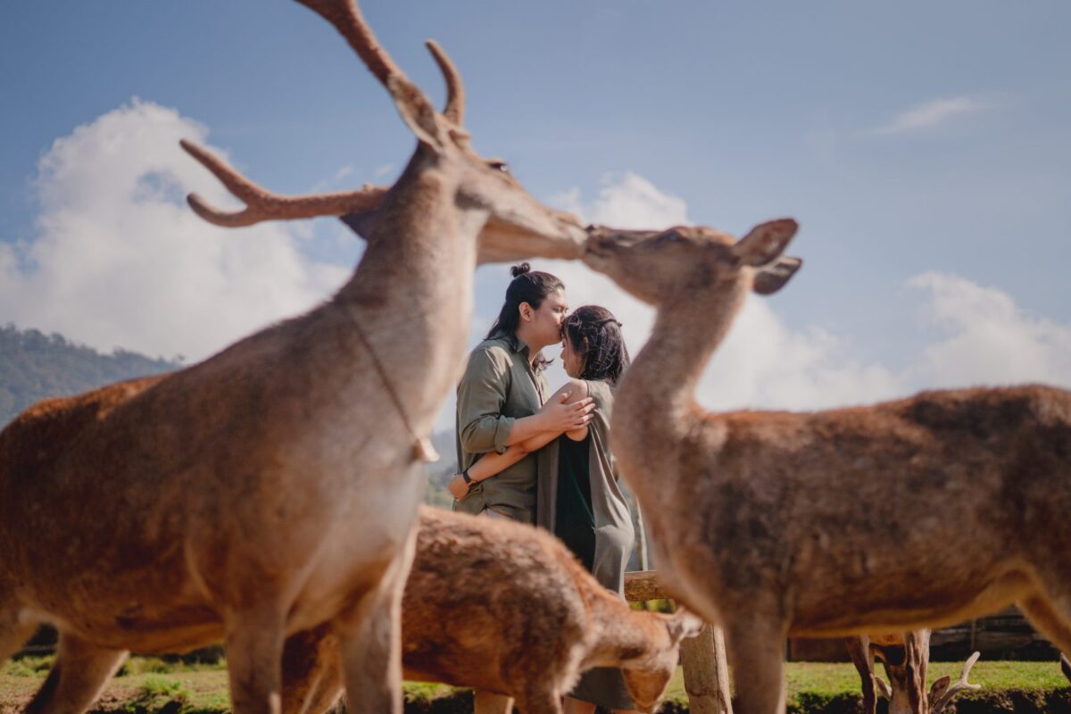 Jasa Foto Prewedding di Ranca Upas