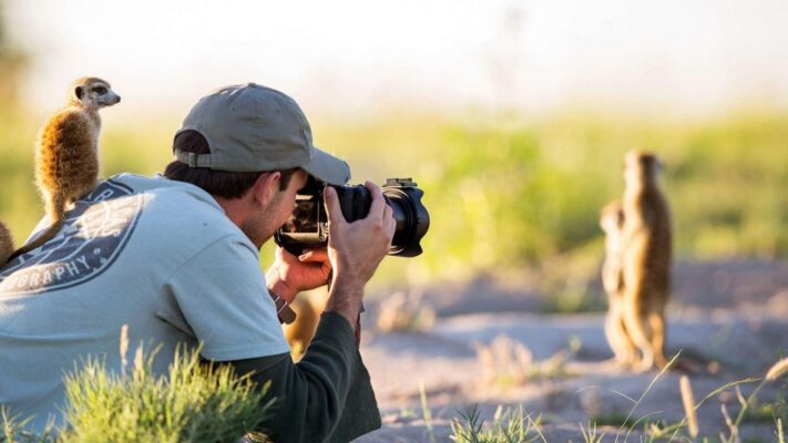Teknik Fotografi Wildlife