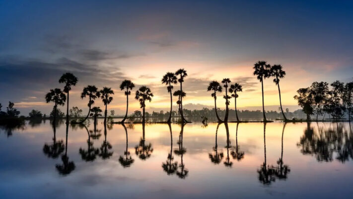 Refleksi dalam Fotografi