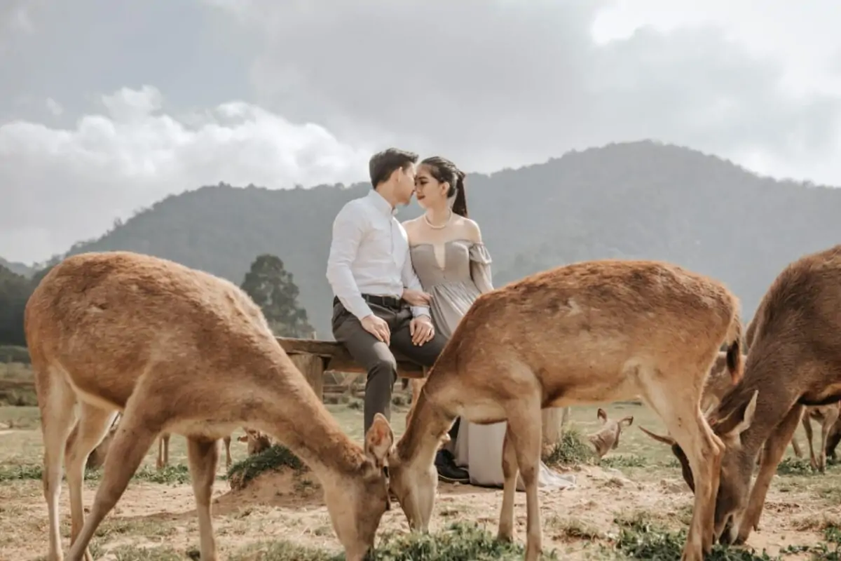 Hasil Foto Prewedding Terbaik